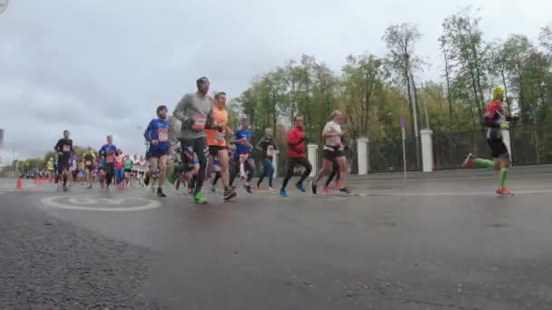 Absolut maraton i Moskva — Stockvideo