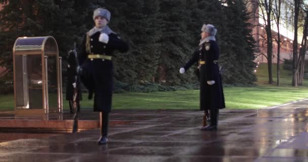 Changing the guard of honor — Stock Video
