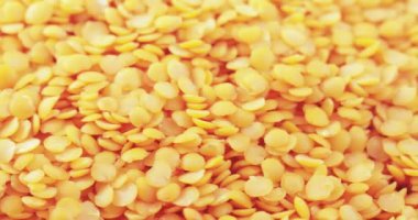 Lentil Farsça toplu