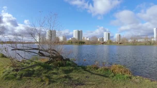 Allée dans un parc municipal — Video