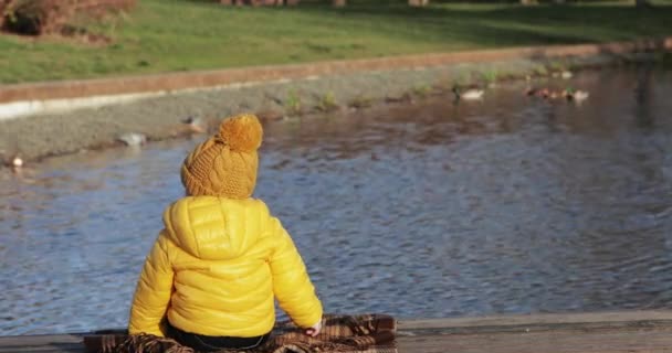 Dítě na pontonu v parku — Stock video