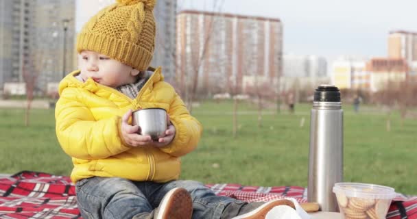 Дитина на пікніку в парку — стокове відео