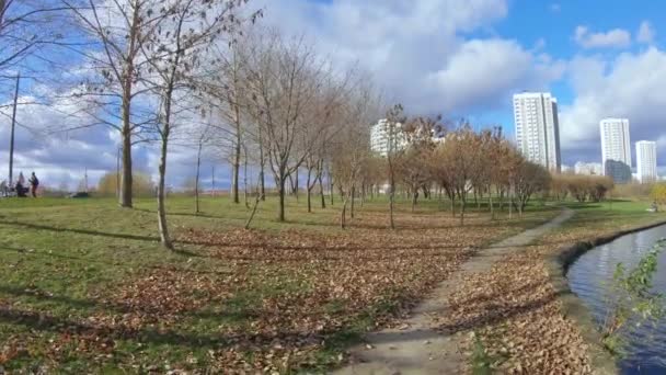 Alley κοντά στη λίμνη — Αρχείο Βίντεο