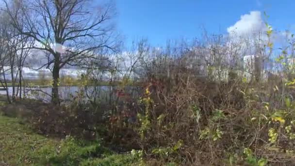 Allée dans un parc municipal