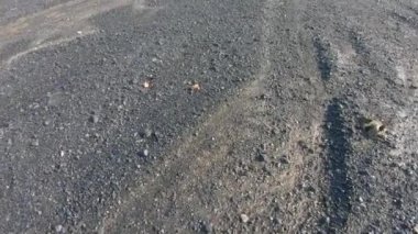 Kül ve cüruf Termik santralleri