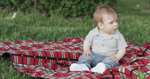 Baby boy on the blanket — Stock Video