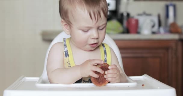 Der Junge isst einen Käsekuchen — Stockvideo