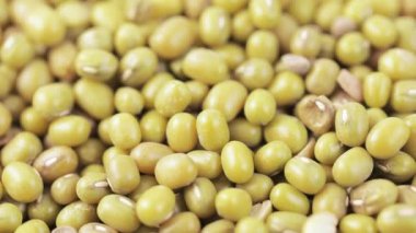 Tabakta Asya fasulyesi