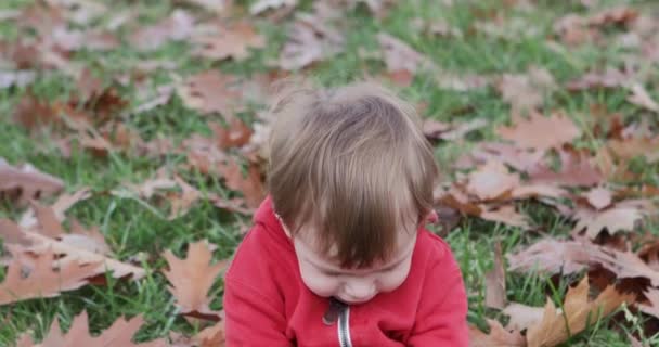 Niño se sienta en la hierba — Vídeo de stock