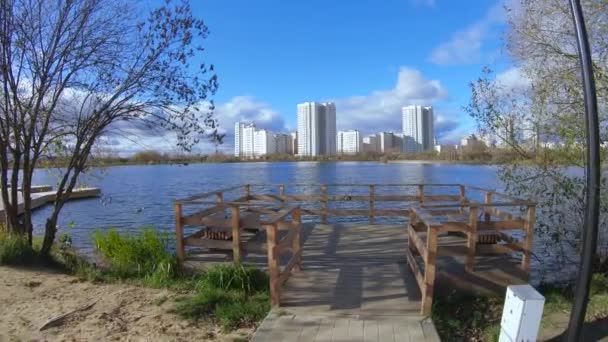 Masse en bois avec bois — Video