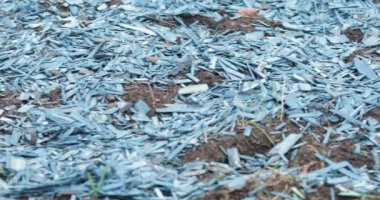 Renkli odun parçaları