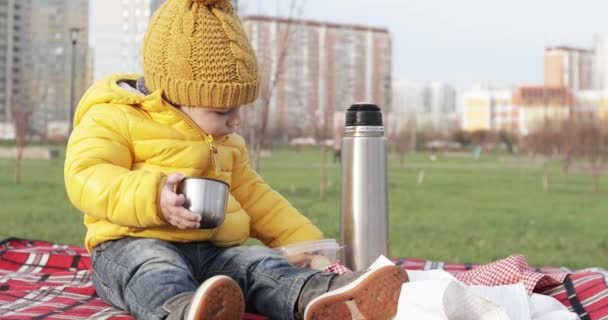 Bebé en un picnic en el parque — Vídeo de stock