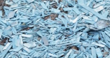 Renkli odun parçaları