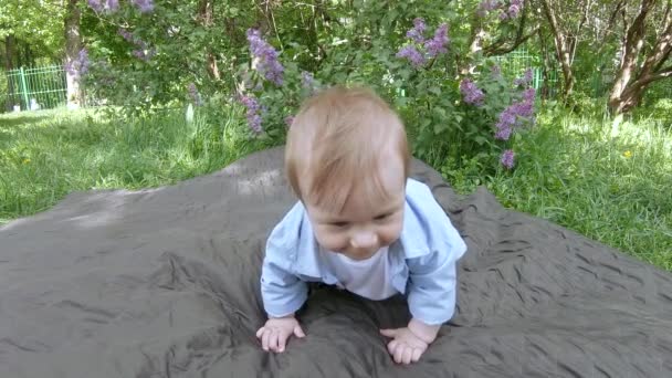 Baby boy on the blanket — Stock Video