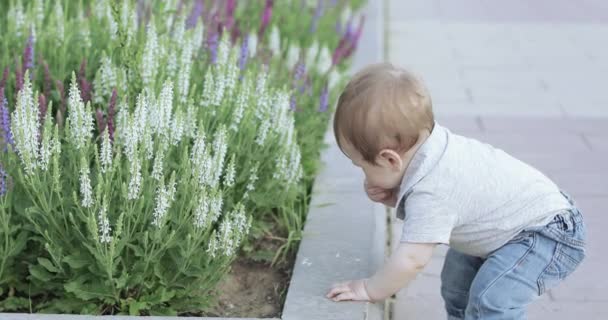 Çiçek tarhına yakın bir çocuğu olan anne — Stok video