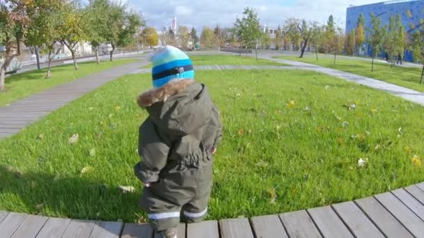 Menino infantil pisa em um gramado — Vídeo de Stock