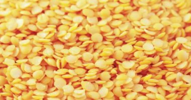 Lentil Farsça toplu