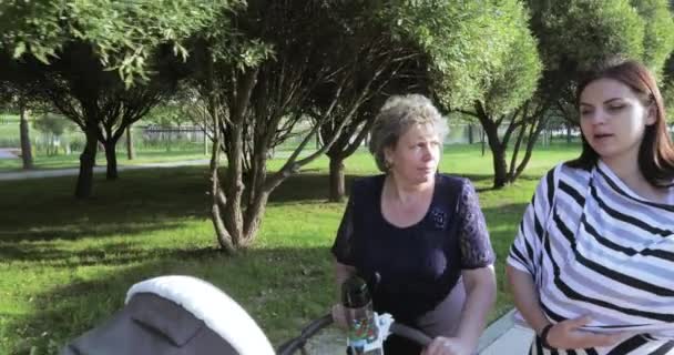 Giovane madre con la sua mamma nel parco — Video Stock