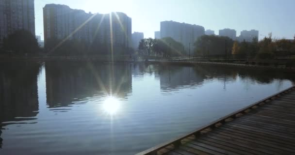 市公園内の池 — ストック動画