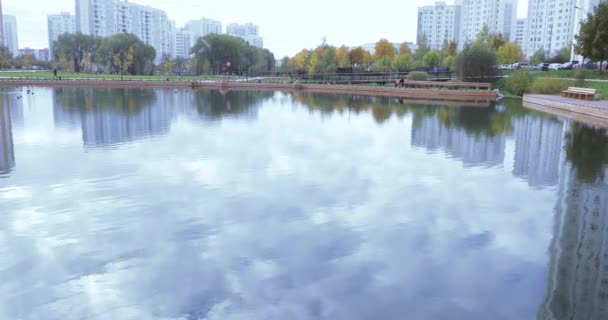 Пруд в городском парке — стоковое видео