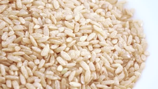 Arroz integral a granel — Vídeo de stock