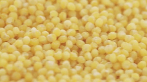 Millet geschuurd in bulk — Stockvideo