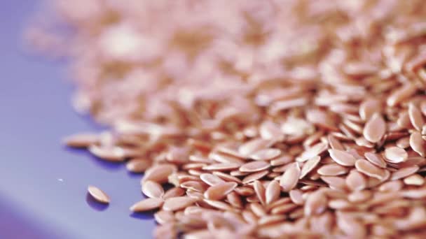 Flax seeds in bulk — Stock Video
