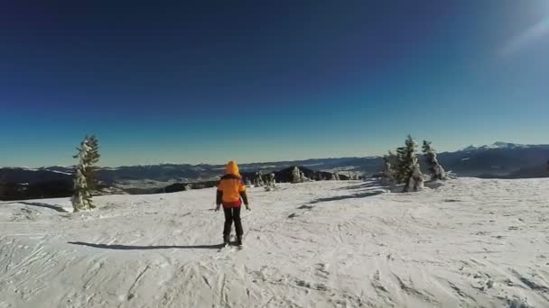 Femme Descente sur skis des montagnes de neige — Video