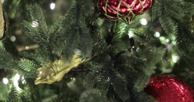 çelenk ile Noel ağacı