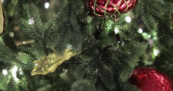 Árbol de Navidad con guirnaldas — Vídeo de stock