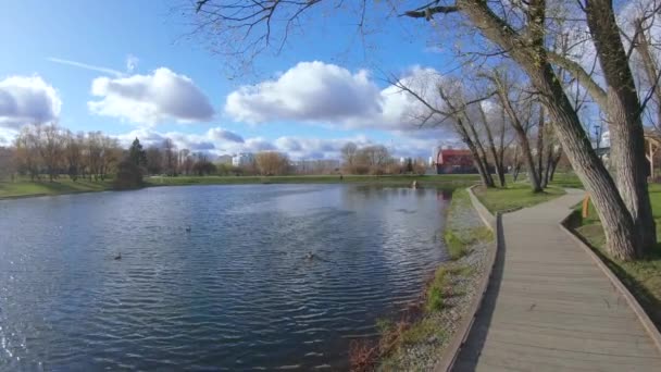 Passerelle en bois au bord de l'étang — Video