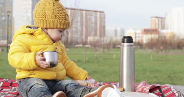 Дитина на пікніку в парку — стокове відео