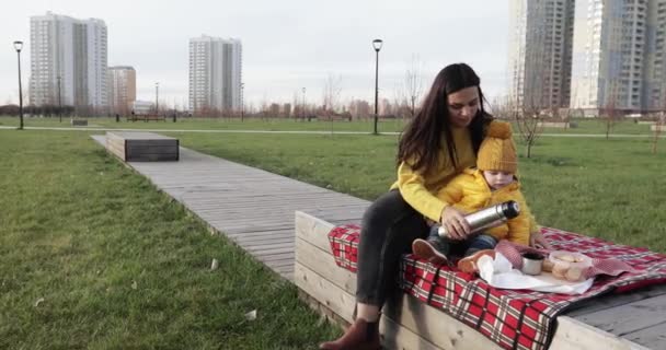 피크닉에 아기가 있는 엄마 — 비디오