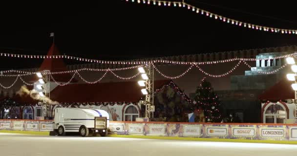 Olympischer Eisbär — Stockvideo