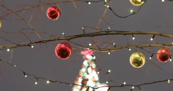 Palla su un albero di Natale — Video Stock
