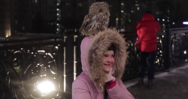 Handmade owl is photographed with a girl on the background of the night New Years city — Stock Video