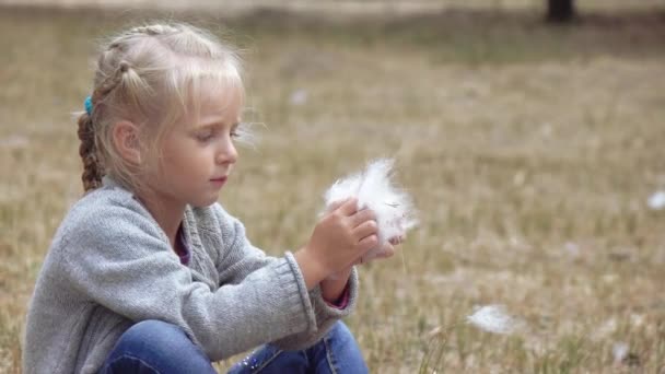 Flicka barn blåser fluff av bulrush — Stockvideo