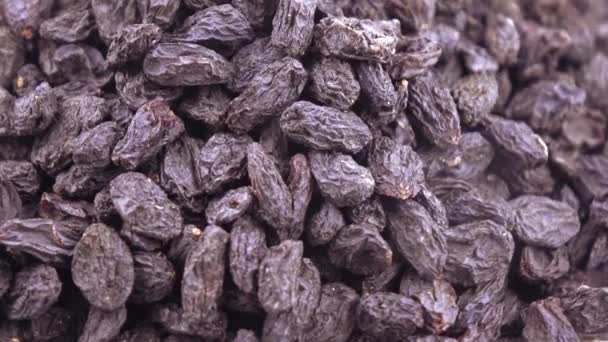 Pile de raisins bleus — Video