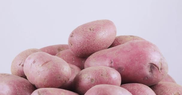 Potatoes red bulk on table — Stock Video