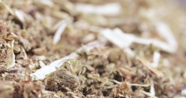 Трава маточного сусла оптом — стоковое видео