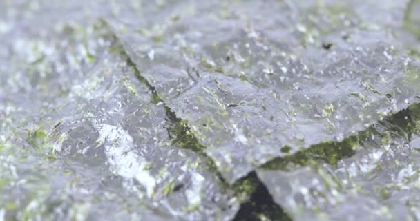 Dried leaf of sea cabbage — Stock Video