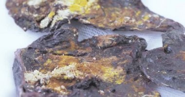 Gazlı bez üzerinde kurutulmuş plasenta