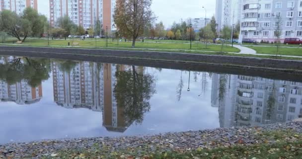 Teich im Stadtpark — Stockvideo