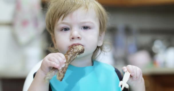 Spädbarn pojke äter fläsk revben — Stockvideo