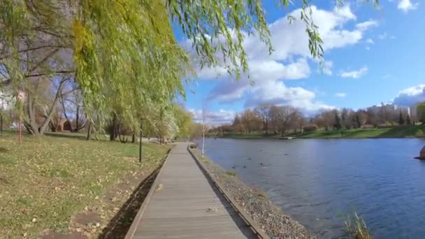 Wooden walkway by the pond — Stock Video