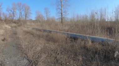 Bayat otların arasındaki ana boru.