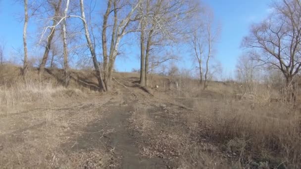 Chemin de terre parmi l'herbe périmée — Video