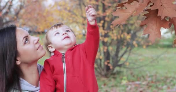 Niño en otoño parque de la ciudad — Vídeos de Stock