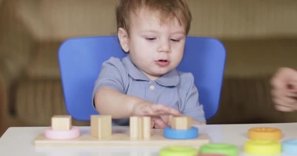 Child puts a wooden puzzle — Stock Video