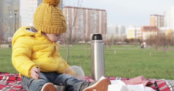 Bébé sur un pique-nique dans le parc — Video